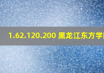 1.62.120.200 黑龙江东方学院